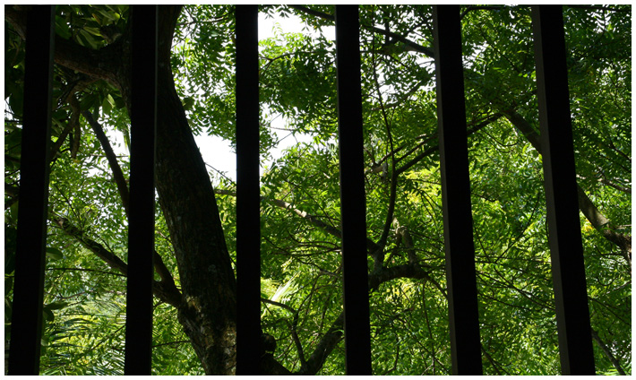 IMAGE: http://www.heartpatrick.com/200611apic/039.jpg